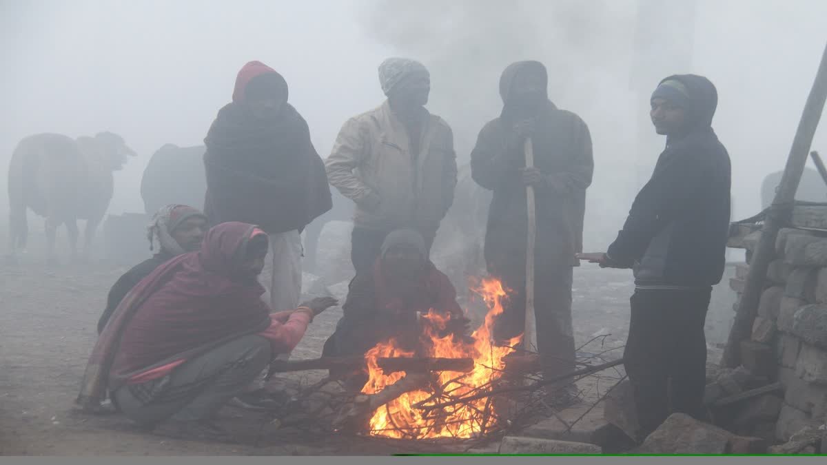 उत्तराखंड में इस बार पड़ेगी कड़ाके की ठंड! पर्यावरणविद बोले- इंसान से लेकर  जीव-जंतु होंगे प्रभावित