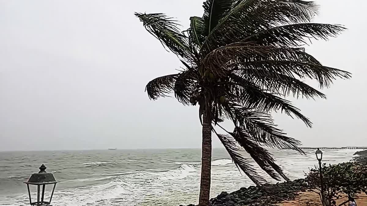 चक्रवाती तूफान 'दितवाह' के चलते तमिलनाडु, आंध्र प्रदेश और पुडुचेरी में भीषण  बारिश का अलर्ट, NDRF पुडुचेरी पहुंची