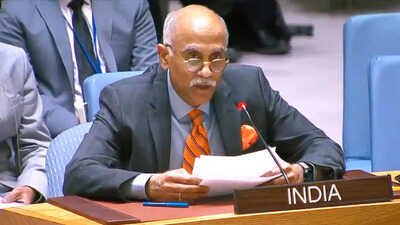 सीजफायर का स्वागत, मिडिल ईस्ट में शांत कायम रहे', पश्चिम एशिया के हालात पर  UNSC में भारत ने रखा अपना पक्ष | Times Now Navbharat
