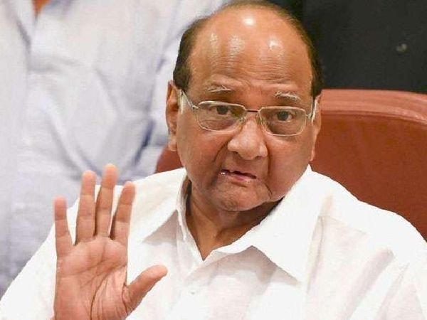 Lok Sabha Elections 2024 sharad-pawar real NCP | शरद पवार बोले- लोग जानते  हैं NCP किसने बनाई: भाजपा ने ED-CBI का इस्तेमाल करके पार्टी तोड़ी, मोदी का  करिश्मा पहले जैसा ...