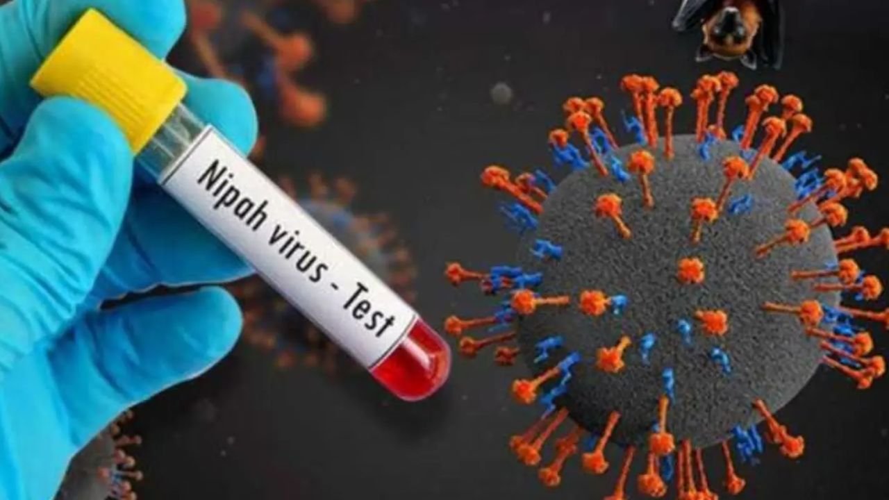 Nipah virus returned to India again more than 400 cases in kerala hospital  on emergency mode| Lockdown Due To Nipah Virus| Nipah Virus Update| |  सावधान! भारत में लौट आया 'निपाह' वायरस,