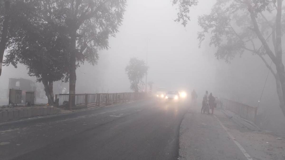 Weather News Today: आ गई दिल्ली वाली सर्दी! उत्तर भारत में कोहरे की घनी  चादर; शीतलहर का अलर्ट - Weather Update Today dense fog in Delhi ncr Bihar  Uttar Pradesh cold wave