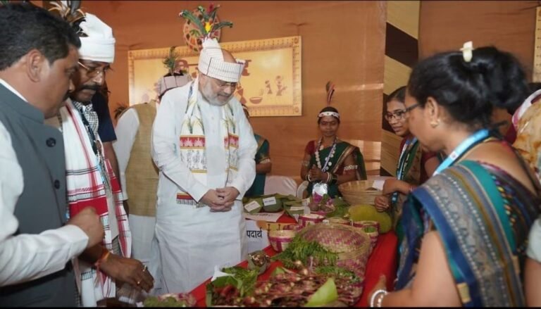 छत्तीसगढ़ में बोले गृह मंत्री-कोई नक्सली मारा जाता है तो किसी को नहीं आता आनंद, हथियार डाल दें