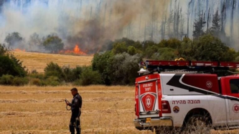 यरूशलम के बाहरी जंगलों में लगी भीषण आग, इजराइल में राष्ट्रीय आपातकाल घोषित