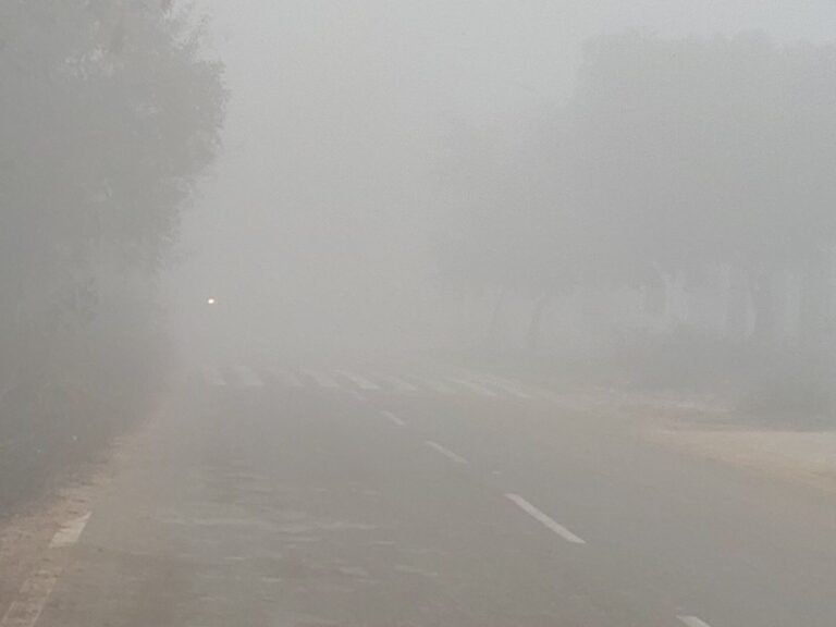 कड़ाके की ठंड का कहर: कश्मीर से दिल्ली तक शीतलहर, दक्षिण में भारी बारिश से बढ़ीं मुश्किलें