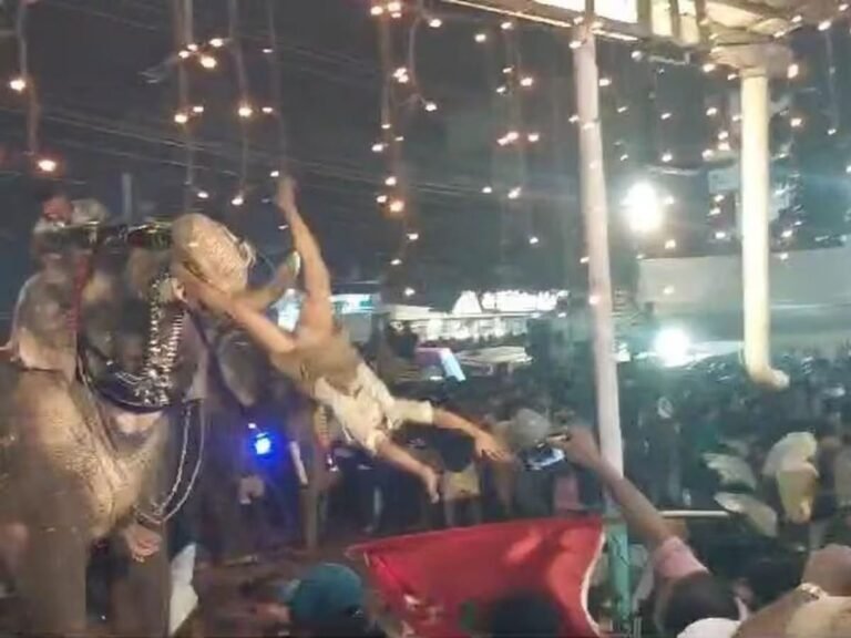 केरल के एक मंदिर में उत्सव के दौरान भड़के हाथी का उत्पात, भीड़ में घुसकर लोगों को पटका, 20 से ज्यादा घायल