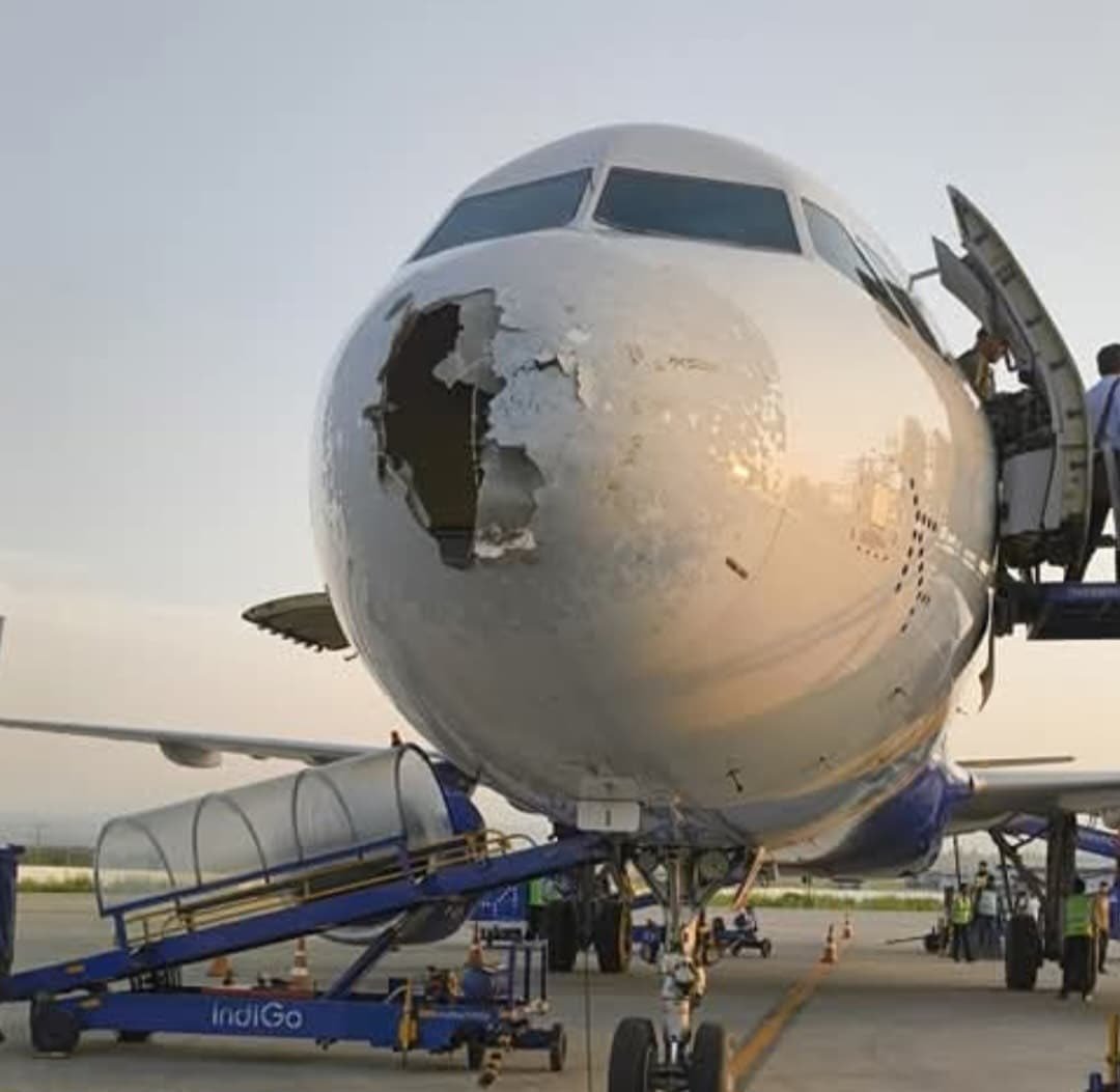 Priyanshi Bhargava on X: 