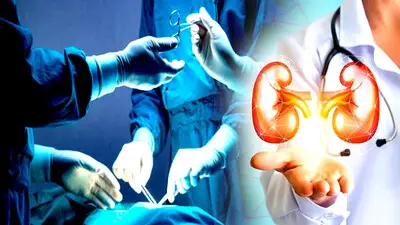 दिल्ली में ऑर्गन ट्रांसप्लांट रैकेट का भंडाफोड़: अपोलो हॉस्पिटल की सीनियर महिला डॉक्टर समेत 7 आरोपी गिरफ्तार, विदेश से जुड़े हैं तार - Haribhoomi