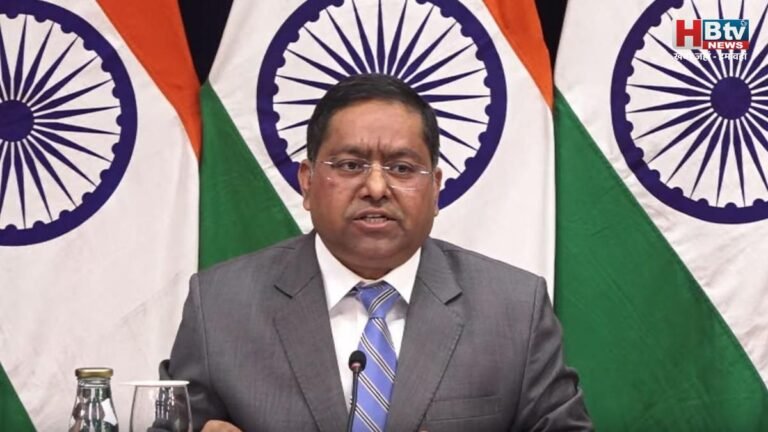 अल्पसंख्यकों वाले बयान पर भारत ने पाकिस्तान को लगाई फटकार, कहा-पहले अपने गिरेबां में झाकें