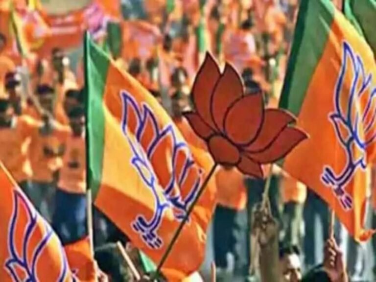 भाजपा एक साथ घोषित करेगी सारे जिलाध्यक्षों के नाम, चार साल के बंधन का दिखेगा असर, कई जिलों में चौंकाने वाले नाम