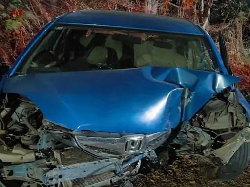 इंदौर के कनाड़िया ब्रिज के पास दर्दनाक हादसा, इंजीनियर की कार बिजली के पोल से टकराई, मौत