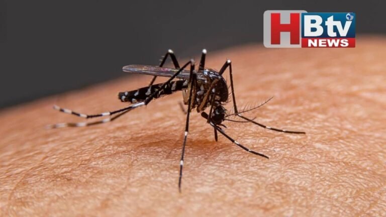देश के सबसे साफ शहर से ‘डेंगू’ के ‘मच्छरों’ का सवाल, इतनी ही है सफाई फिर क्यों बीमार हो रहे लोग?
