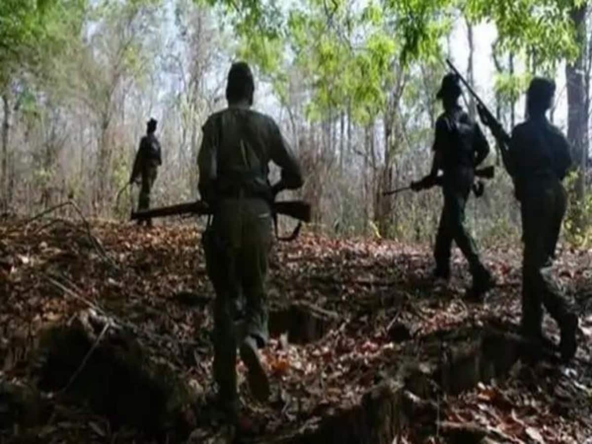 security forces gun down 12 naxalites at wandoli village chhattisgarh  maharashtra border - छत्तीसगढ़-महाराष्ट्र सीमा पर 12 नक्सली ढेर, मुठभेड़  में दो जवान भी घायल, अलर्ट मोड पर ...