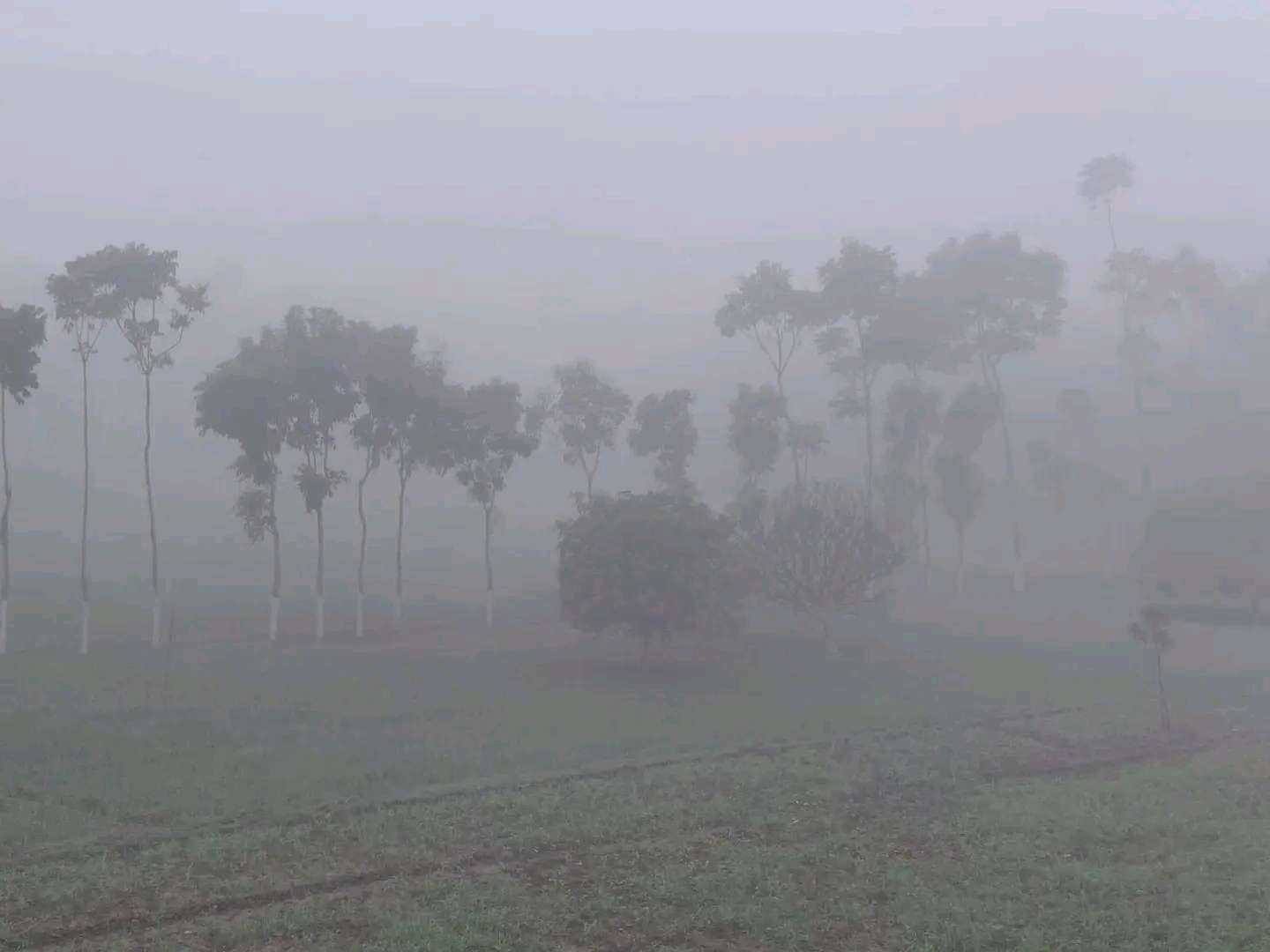 शीतलहर से जनजीवन अस्त-व्यस्त, शहर से लेकर गांव तक कांप रहे लोग