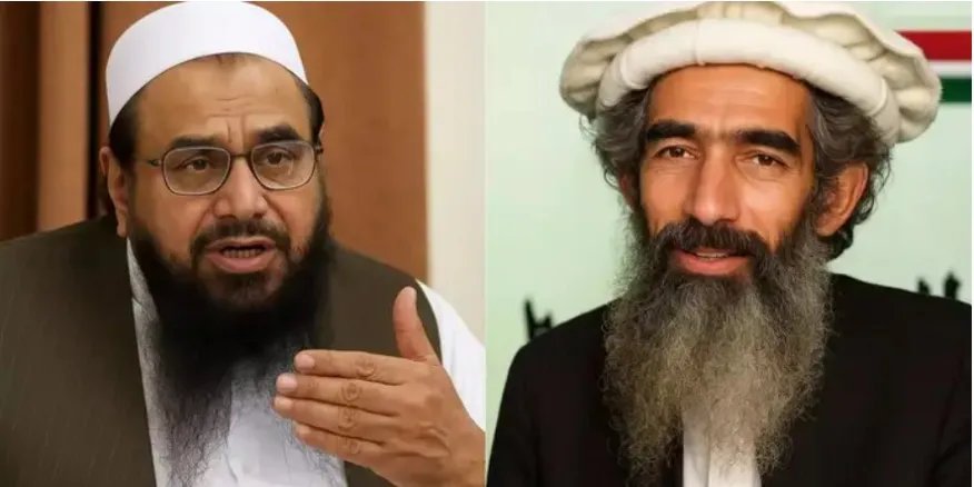 हाफिज सईद का करीबी आमिर हमजा अस्पताल में आखिरी सांसें गिन रहा - Tarun Mitra