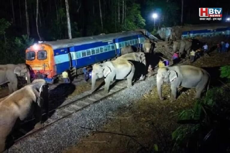 असम में हाथियों से टकराई ट्रेन; आठ हाथियों की मौत, इंजन समेत पांच डिब्बे पटरी से उतरे