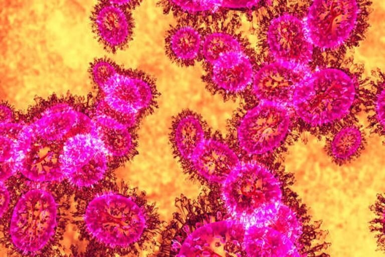 कैंप हिल वायरस: निपाह से भी घातक, पहली बार इंसानों में मिला नया हेनिपावायरस