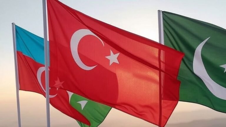 तुर्किये और अजरबैजान के खिलाफ भारत में बढ़ा विरोध: पर्यटन और व्यापारिक संबंधों पर असर