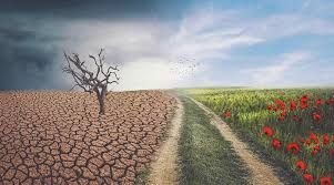 जलवायु परिवर्तन से आर्थिक संकट का खतरा: 2030 तक 30% कृषि और आवासीय कर्ज डूबने की आशंका