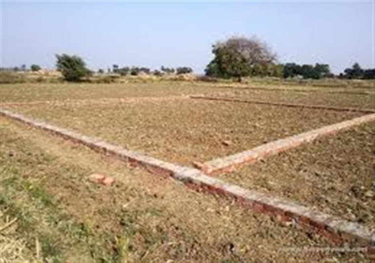 जमीन पर कब्जा, गरीबों का संघर्ष: ग्रामीण भारत में बढ़ती असमानता की चौंकाने वाली तस्वीर 