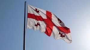 जॉर्जिया में 11 भारतीयों की मौत ; भारतीय दूतावास का बयान