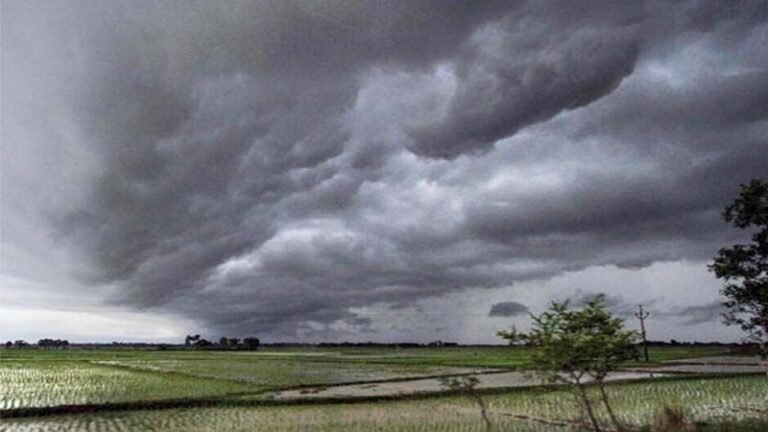 2025 में दक्षिण पश्चिम मानसून समय से पहले देगा दस्तक, सामान्य से अधिक बारिश की संभावना