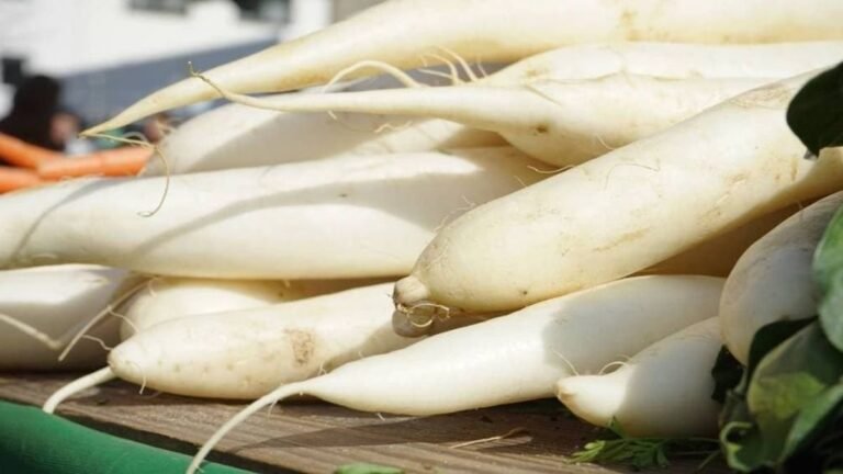 अब बाजार में आ गई है मूली, खाने से पहले जान लें इसके फायदे और नुकसान, कुछ चीजों के साथ तो बिल्कुल न खाएं