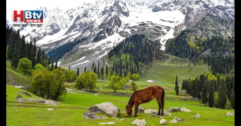 मिनी स्विट्जरलैंड की खामोशी:आतंकी हमले के एक साल बाद भी सहमी सी है  बैसरन घाटी 
