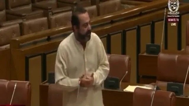 पाकिस्तानी सीनेटर ने खोली अपनी सरकार की पोल, कहा-भारत अंदर आ कर ठोक गया, कोई नहीं पूछ रहा कि कैसे आया