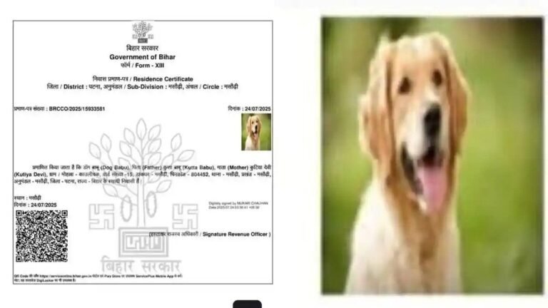 बिहार में जारी  हुआ कुत्ते का आवासीय प्रमाण पत्र, पिता का नाम कुत्ता बाबू, मां का नाम कुतिया देवी