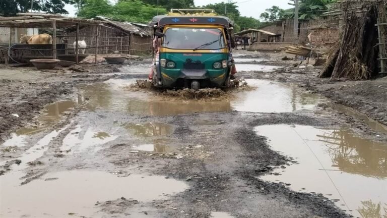 माफ करना सड़कों, बिना गड्ढे के तुम शोभा नहीं देतीं, पीडब्ल्यूडी मंत्री जी ने सही ही कहा है-जब तक सड़कें हैं, तब तक गड्ढे रहेंगे