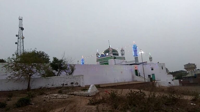 संभल जामा मस्जिद: यूपी सरकार ने किया कोर्ट के फैसले का स्वागत 