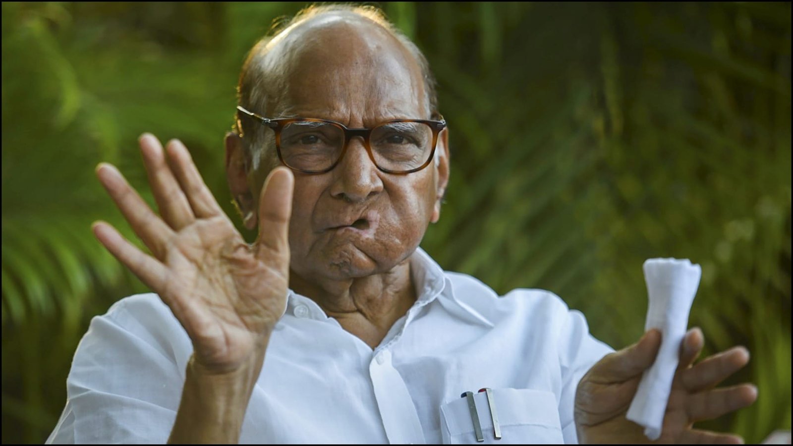 Remove 50 Per Cent Cap On Reservation: Sharad Pawar To Centre Know All  About It - Amar Ujala Hindi News Live - Sharad Pawar:'आरक्षण पर 50% की सीमा  हटाई जाए', महाराष्ट्र में