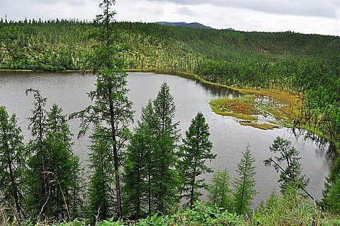 उत्तरी गोलार्ध में बढ़ेगी हरियाली, लेकिन जलवायु परिवर्तन की भारी कीमत पर