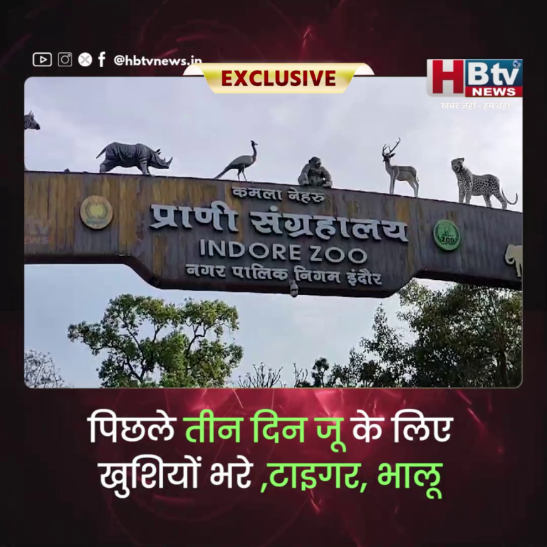 INDORE–पिछले तीन दिन जू के लिए खुशियों भरे ,टाइगर, भालू ,लायन , हिप्पो ने दिया बच्चों को जन्म...