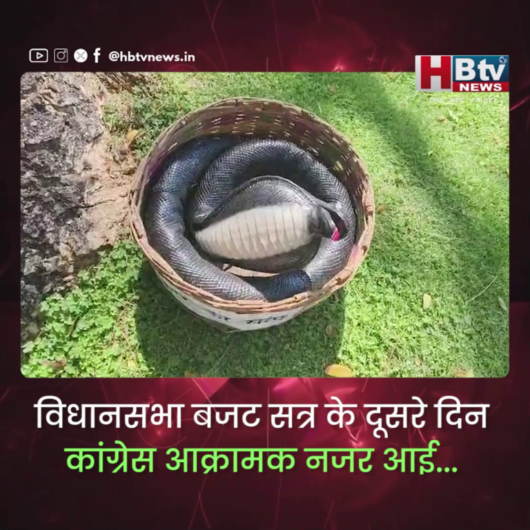 भोपाल.. नौकरी के नाम पर सांप की तरफ डस रही सरकार..उमंग सिंघार