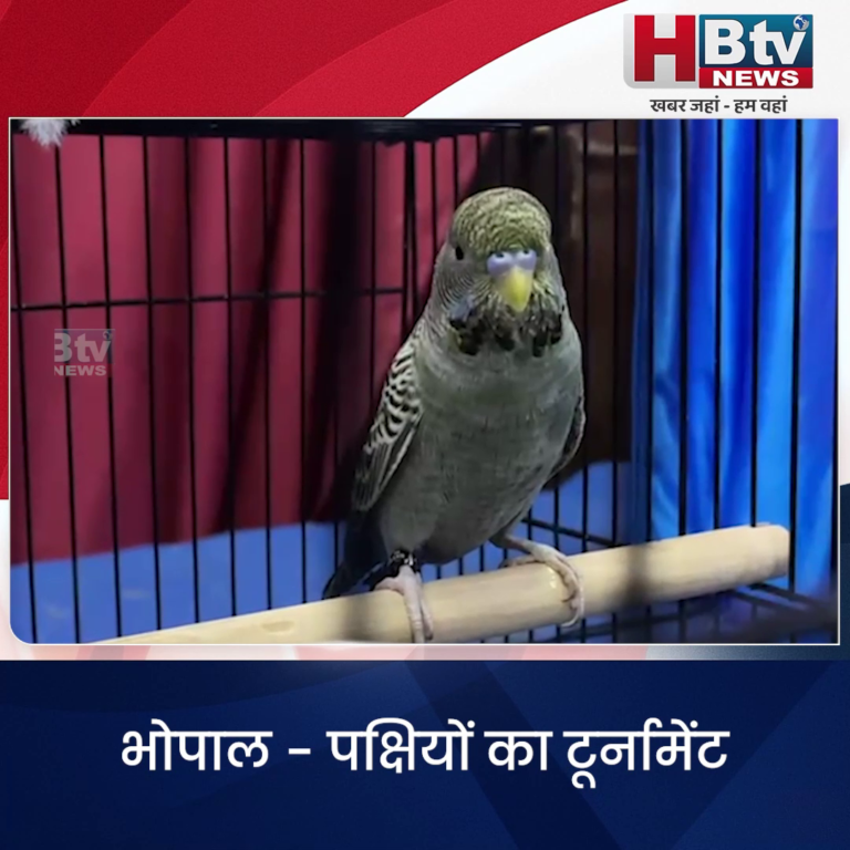 भोपाल...पक्षियों का हुआ टूर्नामेंट