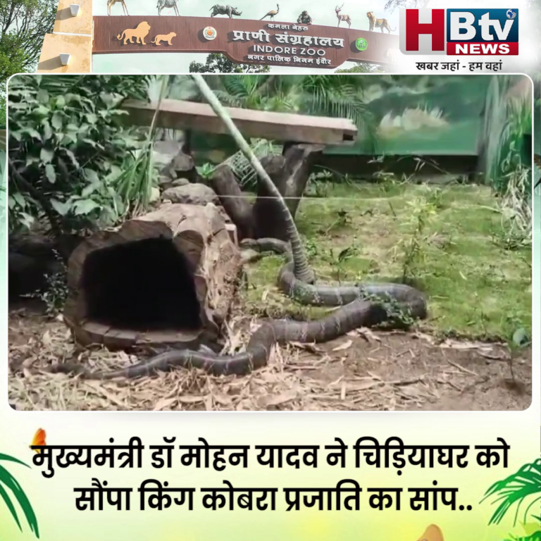 INDORE..CM ने ZOO को सौंपा किंग कोबरा....
