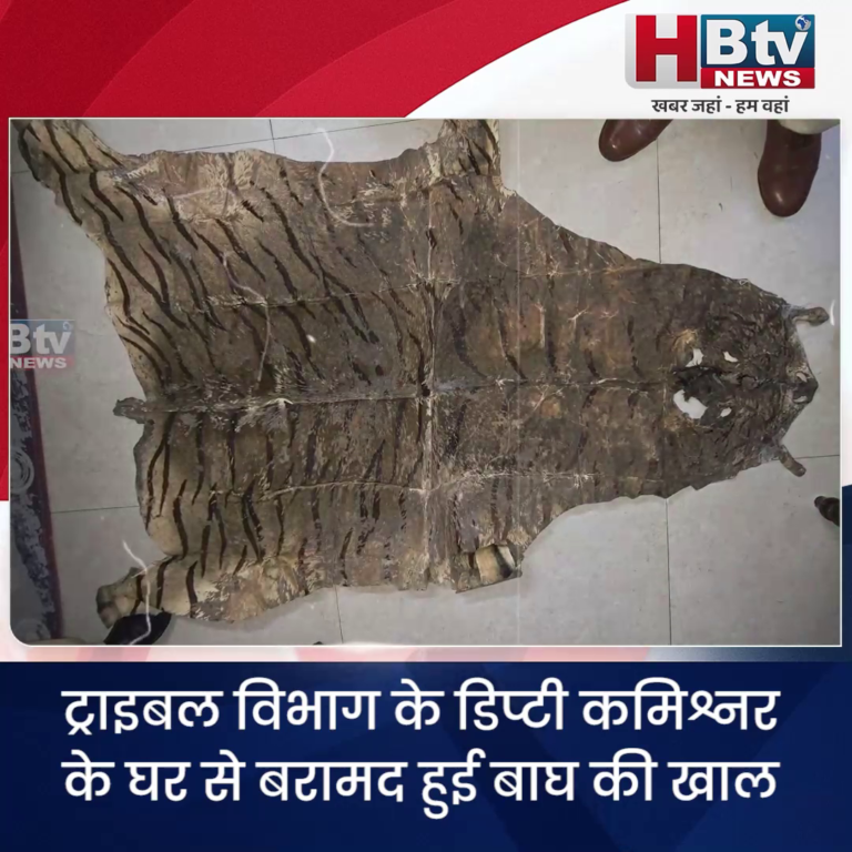 जबलपुर..ट्राइबल विभाग के डिप्टी कमिश्नर के घर से बरामद हुई बाघ की खाल