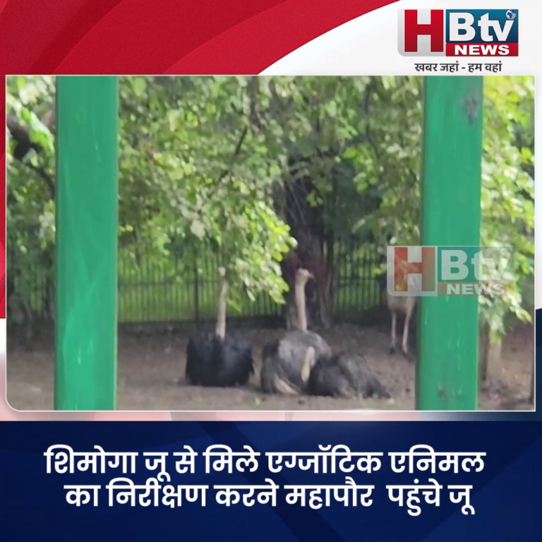 INDORE–जू की मिले जंगली भैंसे रुद्र, तुलसी, कल्कि और ताप्ति सहित आठ नए एग्जॉटिक एनिमल....