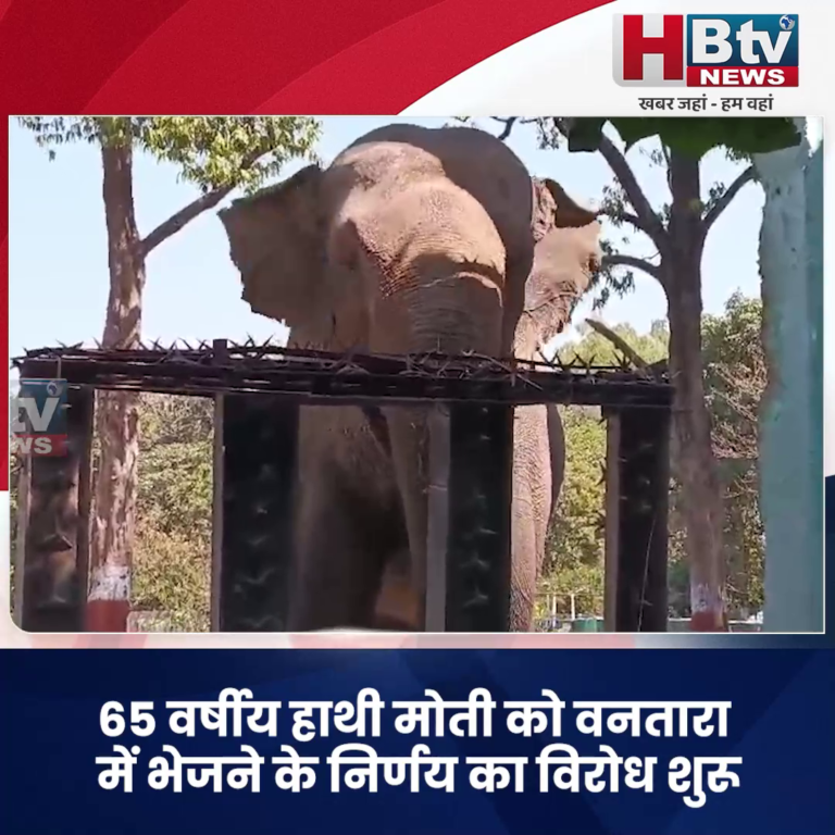 INDORE–65 वर्षीय हाथी मोती को वनतारा में भेजने के निर्णय का विरोध शुरू....
