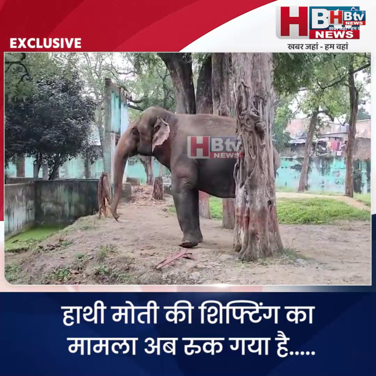INDORE–मुख्यमंत्री ने रुकवाई हाथी मोती की वनतारा पुनर्वास केंद्र में शिफ्टिंग, HBTV को भी मुद्दा उठाने पर मिला धन्यवाद....