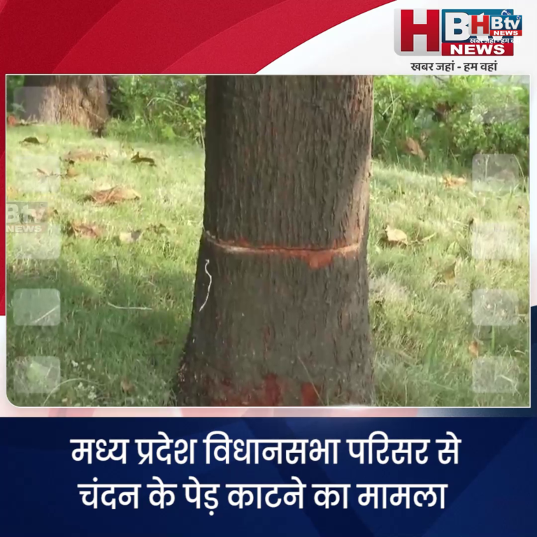 भोपाल.. मध्य प्रदेश विधानसभा परिसर से कटे चंदन के पेड़