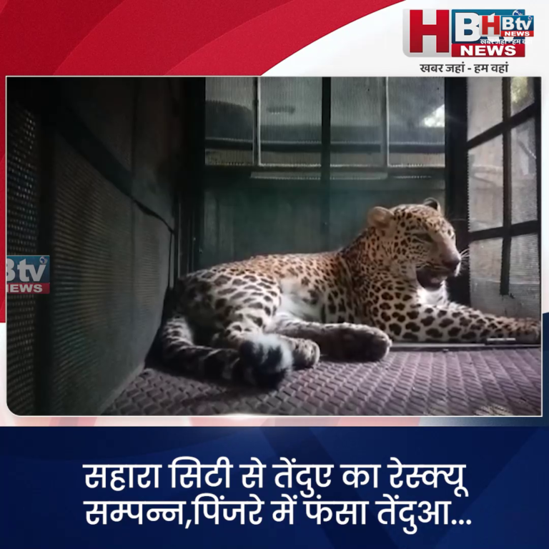 INDORE·सहारा सिटी से तेंदुए का रेस्क्यू ..पिंजरे में फंसा तेंदुआ...