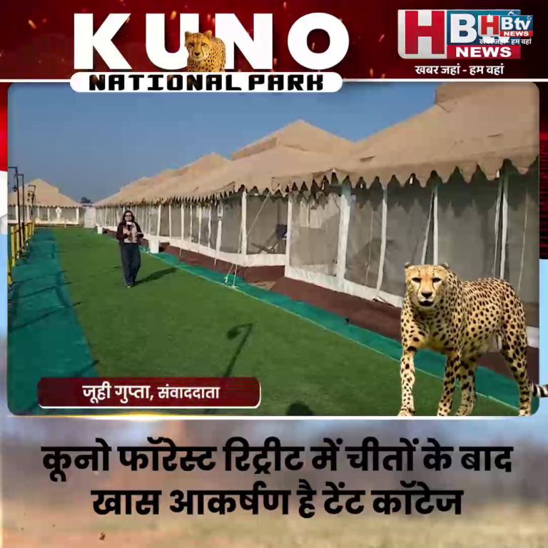 श्योपुर..कूनो फॉरेस्ट रिट्रीट में चीतों के बाद खास आकर्षण है टेंट कॉटेज