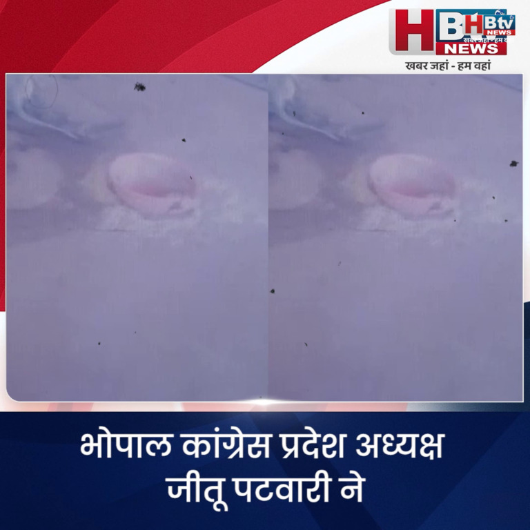 भोपाल..गौ-माता के नाम पर राजनीति करती है भाजपा..पटवारी