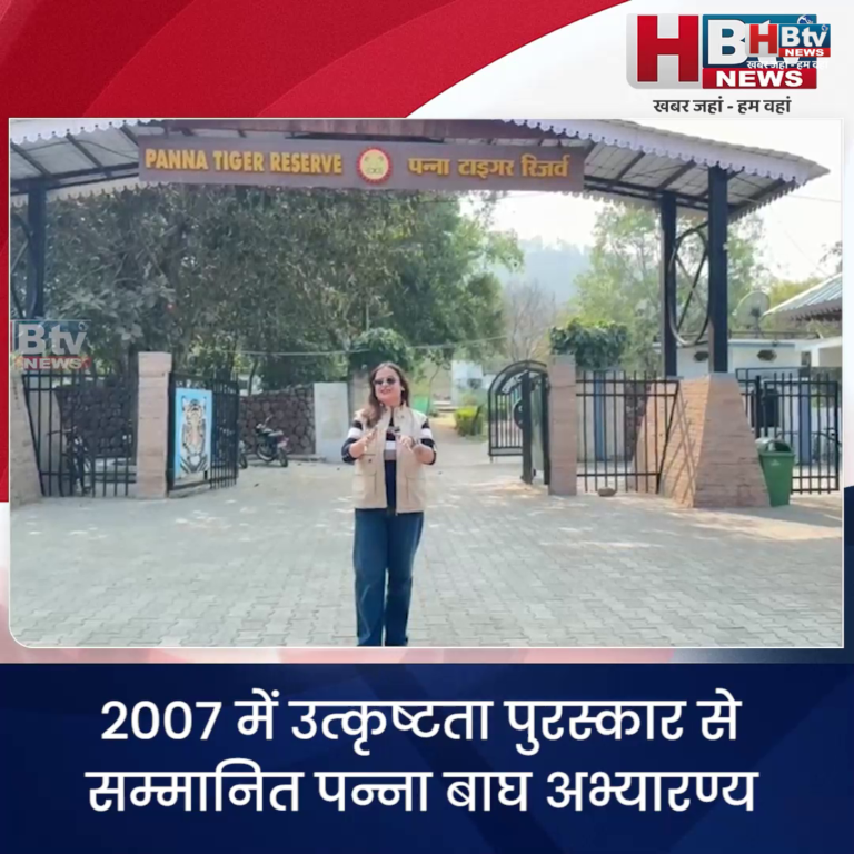 पन्ना.. पन्ना बाघ अभ्यारण्य ने किया दुनिया भर के वन्यजीव प्रेमियों और प्रकृति प्रेमियों का ध्यान आकर्षित