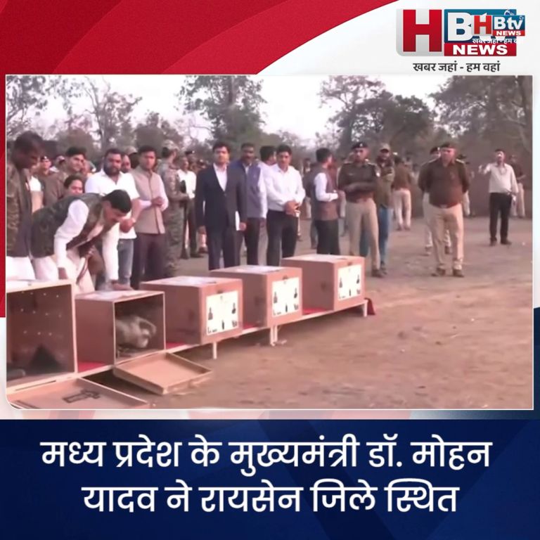 भोपाल...CM ने हलाली डैम क्षेत्र में छोड़े दुर्लभ प्रजाति के 5 गिद्ध