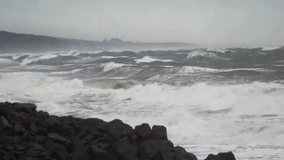आंध्र प्रदेश के तट से टकराया चक्रवात 'मोंथा! 110 किमी प्रति घंटे की रफ्तार  से चली हवाएं, इन राज्यों में ताबड़तोड़ बारिश का अलर्ट | Asianet News Hindi