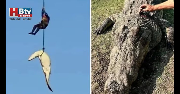 नदी में मगरमच्छ के पेट से मिले इंसानी अवशेष: लापता कारोबारी केस में चौंकाने वाला मोड़